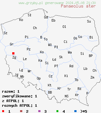 znaleziska Panaeolus ater (kołpaczek czarniawy) na terenie Polski