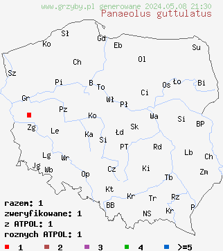 znaleziska Panaeolus guttulatus (kołpaczek kropelkowaty) na terenie Polski