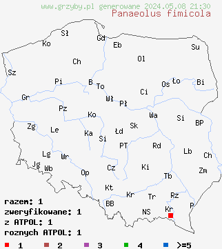 znaleziska Panaeolus fimicola (kołpaczek ciemnoszary) na terenie Polski