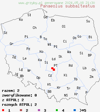 znaleziska Panaeolus subbalteatus (kołpaczek ciemnobrzegi) na terenie Polski
