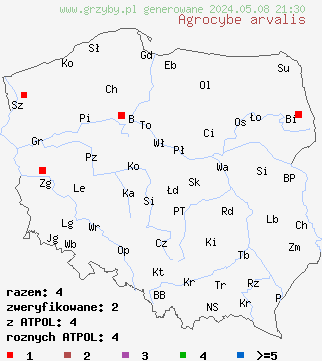 znaleziska Agrocybe arvalis (polówka korzeniasta) na terenie Polski