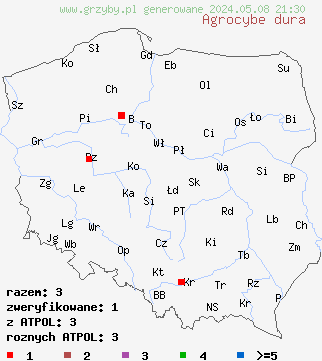 znaleziska Agrocybe dura (polówka popękana) na terenie Polski