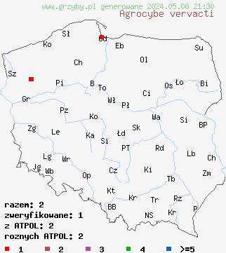 znaleziska Agrocybe vervacti (polówka pustotrzonowa) na terenie Polski