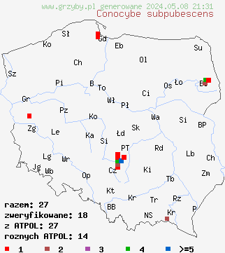 znaleziska Conocybe subpubescens (stożkówka drobnoowłosiona) na terenie Polski