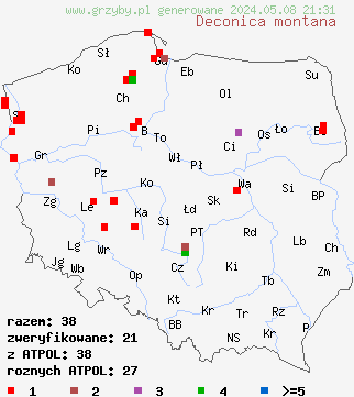 znaleziska Deconica montana (łysiczka czarnobrązowa) na terenie Polski