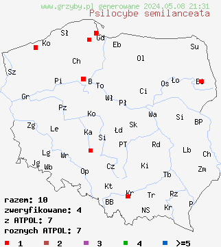znaleziska Psilocybe semilanceata (łysiczka lancetowata) na terenie Polski