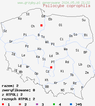 znaleziska Psilocybe coprophila (łysiczka odchodowa) na terenie Polski