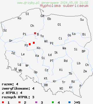 znaleziska Hypholoma subericaeum (maślanka ochrowopłowa) na terenie Polski