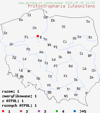 znaleziska Protostropharia luteonitens (pierścieniak śmierdzący) na terenie Polski