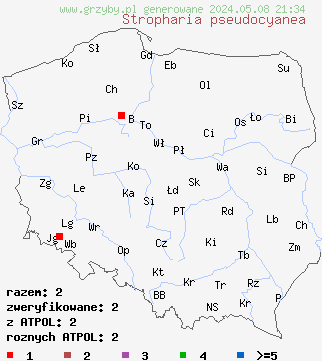 znaleziska Stropharia pseudocyanea (pierścieniak zielononiebieski) na terenie Polski