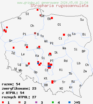 znaleziska Stropharia rugosoannulata (pierścieniak uprawny) na terenie Polski