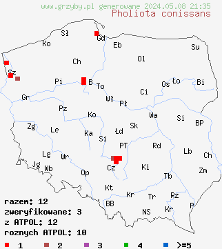 znaleziska Pholiota conissans (łuskwiak wierzbowy) na terenie Polski