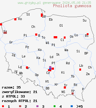 znaleziska Pholiota gummosa (łuskwiak słomkowy) na terenie Polski