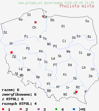 znaleziska Pholiota mixta (łuskwiak podlaski) na terenie Polski