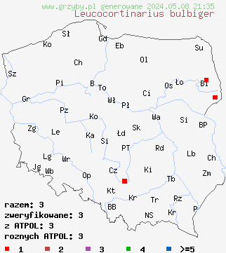znaleziska Leucocortinarius bulbiger (białozasłonak bulwiasty) na terenie Polski