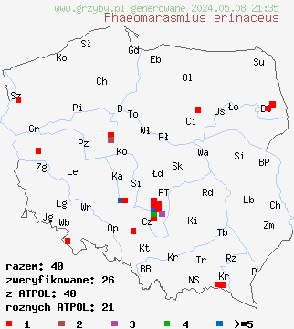 znaleziska Phaeomarasmius erinaceus (ciemnotwardnik łuskowaty) na terenie Polski
