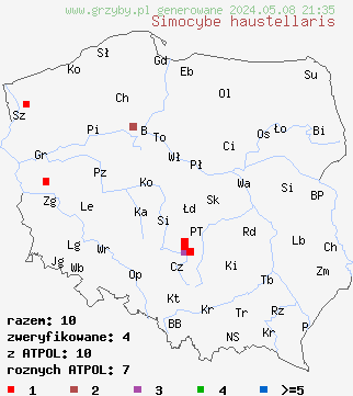 znaleziska Simocybe haustellaris (ciemnoboczniak gałązkowy) na terenie Polski