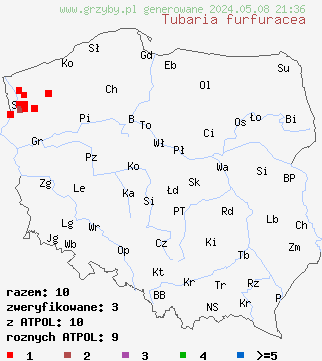 znaleziska Tubaria furfuracea (trąbka otrębiasta) na terenie Polski