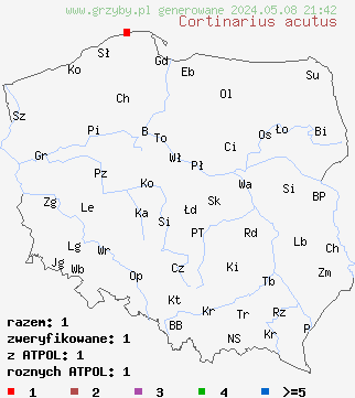 znaleziska Cortinarius acutus (zasłonak ostry) na terenie Polski