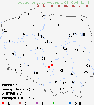 znaleziska Cortinarius balaustinus (zasłonak jaskrawy) na terenie Polski