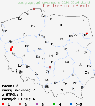 znaleziska Cortinarius biformis (zasłonak ukośniepierścieniowy) na terenie Polski
