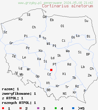 znaleziska Cortinarius alnetorum (zasłonak olszynowy) na terenie Polski