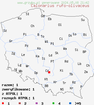 znaleziska Calonarius rufo-olivaceus (zasłonak gniadofioletowy) na terenie Polski