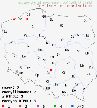 znaleziska Cortinarius umbrinolens (zasłonak ziemiowonny) na terenie Polski