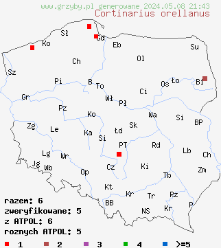 znaleziska Cortinarius orellanus (zasłonak rudy) na terenie Polski