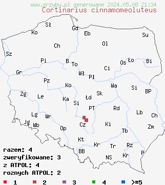 znaleziska Cortinarius cinnamomeoluteus (zasłonak cynamonowożółty) na terenie Polski