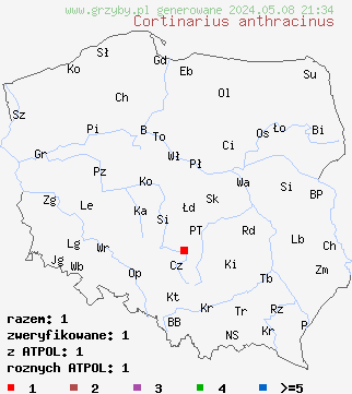 znaleziska Cortinarius anthracinus (zasłonak krwistoczerwony) na terenie Polski