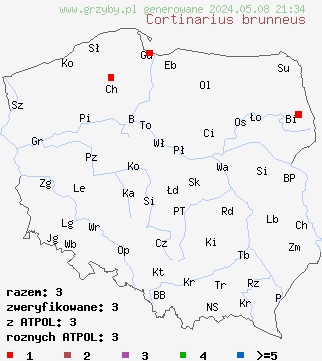 znaleziska Cortinarius brunneus (zasłonak brunatny) na terenie Polski