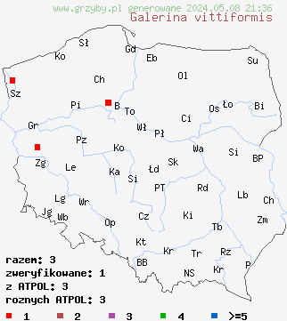 znaleziska Galerina vittiformis (hełmówka rdzawa) na terenie Polski
