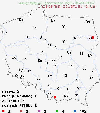 znaleziska Inosperma calamistratum (włókniak owłosiony) na terenie Polski