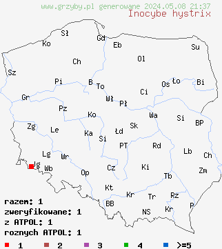 znaleziska Inocybe hystrix (strzępiak jeżowaty) na terenie Polski