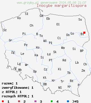 znaleziska Inocybe margaritispora (strzępiak perełkowy) na terenie Polski
