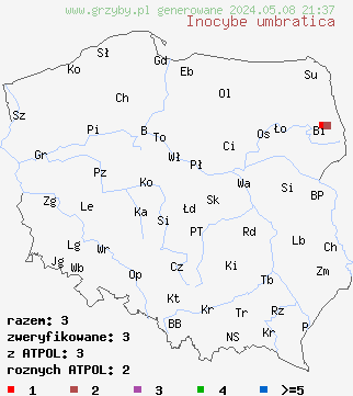 znaleziska Inocybe umbratica (strzępiak białawy) na terenie Polski