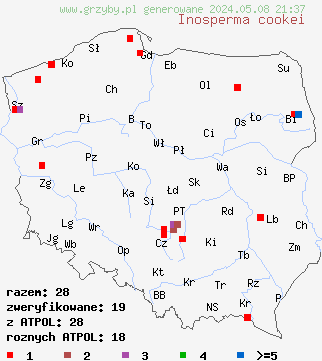 znaleziska Inosperma cookei (włókniak słomkowożółty) na terenie Polski