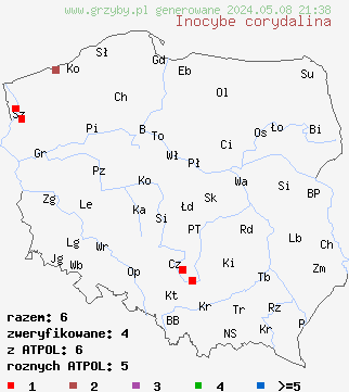 znaleziska Inocybe corydalina (strzępiak zielonawogarbkowy) na terenie Polski