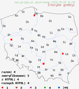 znaleziska Inocybe godeyi (strzępiak czerwieniejący) na terenie Polski