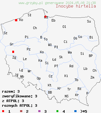 znaleziska Inocybe hirtella (strzępiak najeżony) na terenie Polski