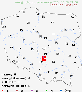 znaleziska Inocybe whitei (strzępiak pomarańczowoczerwonawy) na terenie Polski