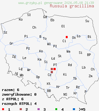 znaleziska Russula gracillima (gołąbek najdelikatniejszy) na terenie Polski