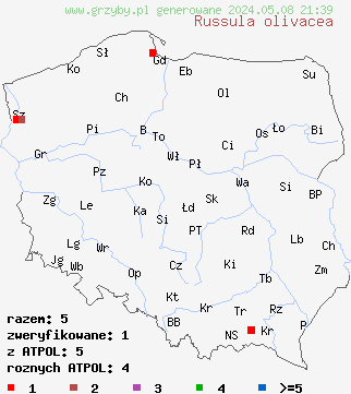 znaleziska Russula olivacea (gołąbek oliwkowy) na terenie Polski
