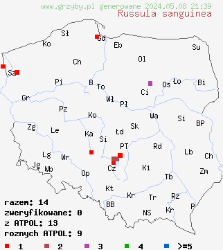 znaleziska Russula sanguinea (gołąbek krwisty) na terenie Polski
