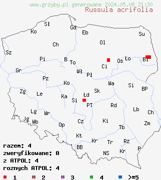 znaleziska Russula acrifolia (gołąbek ostroblaszkowy) na terenie Polski