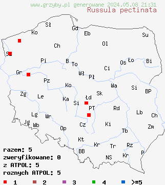 znaleziska Russula pectinata (gołąbek grzebieniasty) na terenie Polski