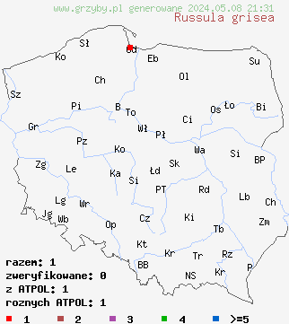 znaleziska Russula grisea (gołąbek szary) na terenie Polski