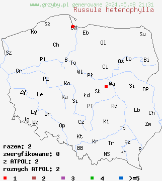 znaleziska Russula heterophylla (gołąbek oliwkowozielony) na terenie Polski