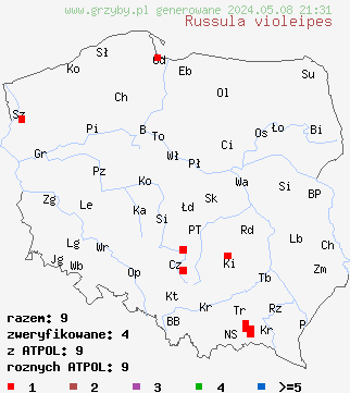 znaleziska Russula violeipes (gołąbek fioletowonogi) na terenie Polski